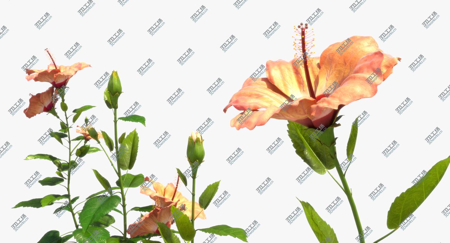 images/goods_img/20210319/Flower Open/3.jpg
